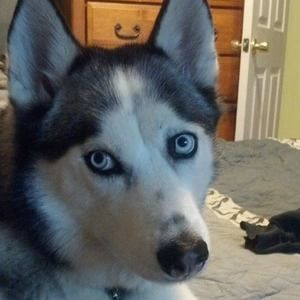 Meet your Posher, Denise